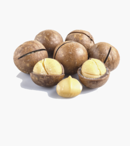 Macadamia Nuts