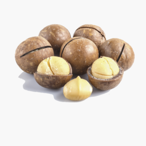 Macadamia Nuts