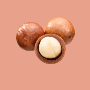 Oilnuts