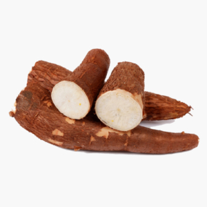 Cassava
