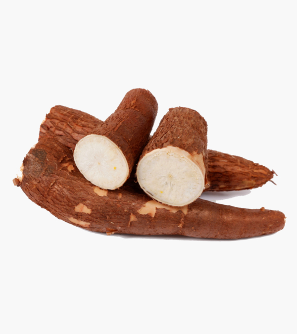 cassava