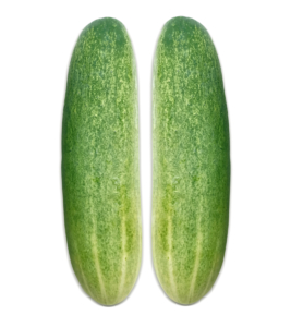 Cucumber