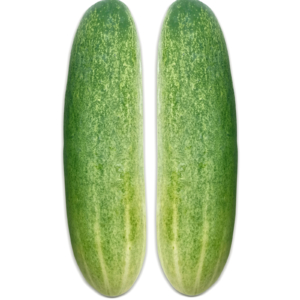 Cucumber