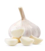 garlic