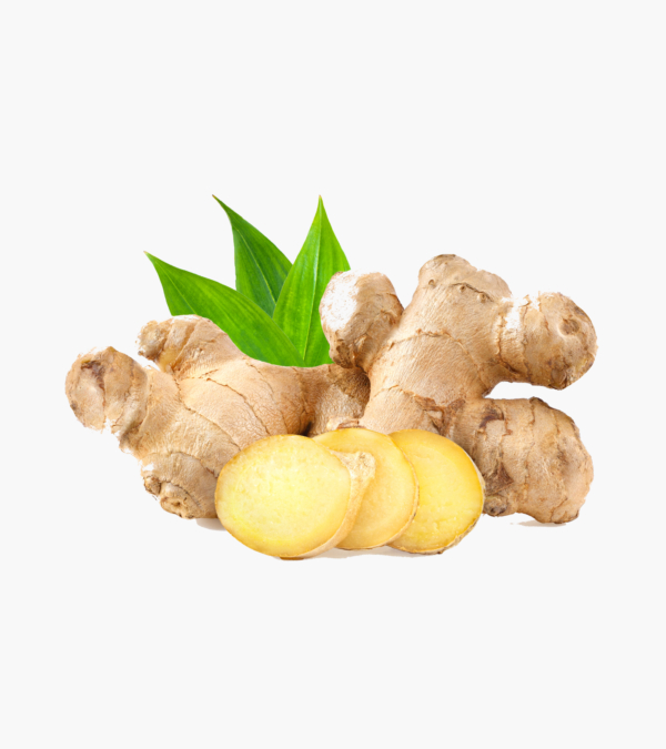 ginger