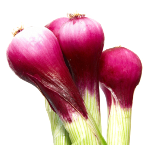 Onions