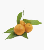 tangerine