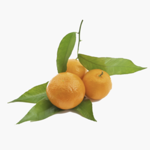 Tangerine